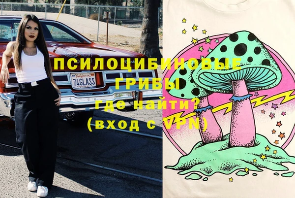 винт Арсеньев