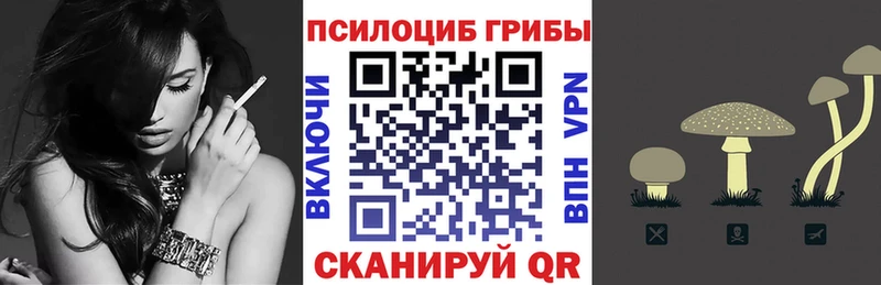 omg ссылка  купить закладку  Полевской  Галлюциногенные грибы Psilocybe 